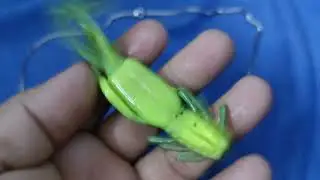 CrayfishBait