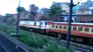 GZB WAP1 and WAP7