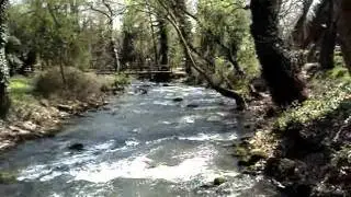 MAARAS  &Mu;&Alpha;&Alpha;&Rho;&Alpha;&Sigma;
