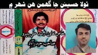 Tola Hassenan Ja Ghuman || Anwar Hussain Vistrro Vol 7 ٽولا حسينن جا گهمن هن شهر ۾