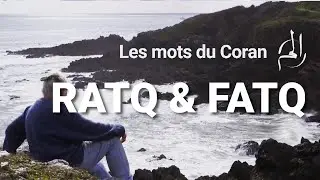 FATQ & RATQ