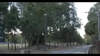 Santa Tecla cierra parques públicos como medida preventiva por fuertes vientos