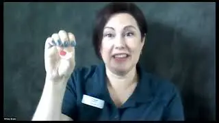STLZOOm&ndash;ASL Animal Alphabet 