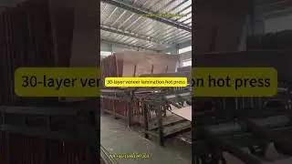 30-layer veneer lamination hot press WA:+86-15963347203  #plywoodmachine #machine #hotpress