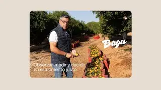 M&eacute;todo y precisi&oacute;n - Bagu Clementinas