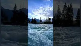 Roaring Waters || Nature's Symphony in a Lush Green Oasis
