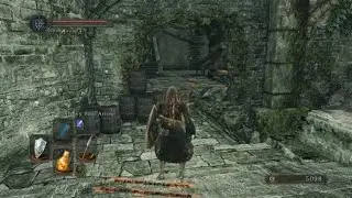 Dark Souls 2 Illusory Wall Locations - Forest of Fallen Giants