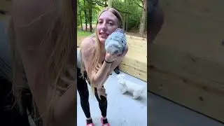 Dog Treats & BarkBox Fun