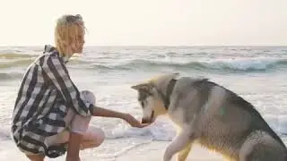 different ways dogs communicate with humans