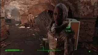 Fallout 4 the bin wizard