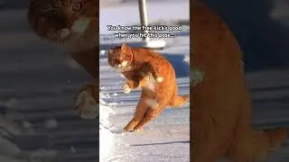You know the free kick&rsquo;s good when you hit this pose&hellip;😂🐈