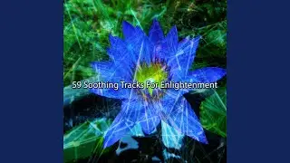 Enlighten The Troubled Spirit