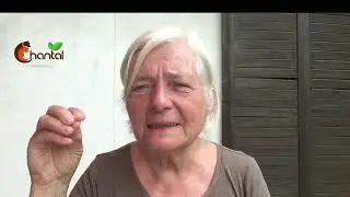 Vous partez en vacances avec votre loulou ? Voici une trousse d'urgence à avoir sous la main