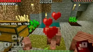 Minecraft House Full of Armadillos (Bedrock Survival Edition)