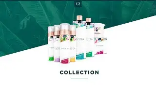Exotiq Collection Video - ONE-DC Wholesale