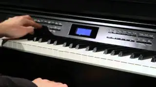 Celviano AP-650