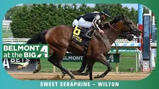 Sweet Seraphine - 2025 - Wilton