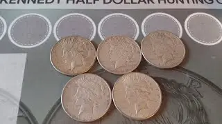 Peace Silver Dollar Score! Unboxing. 12-25-25 🗽🇺🇲 #silverstacking #silverdollar