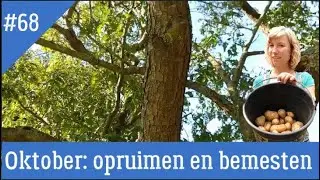 #68-Mijn moestuin. Oktober, opruimen en bemesten