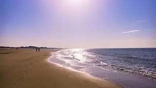To the sea and back at 12 degrees Its almost spring Camperduin The Nertherlands  15-02-2017 Vlog 197