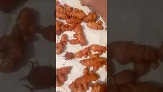 Turmeric powder process.
