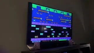 My Mom Having Crash Outs Playing The 1980s Frogger Game! Absolutely Hilarious! LOL 