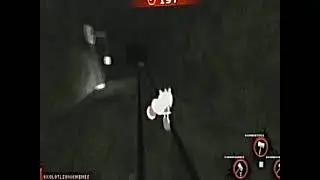 BETA TESTER.avi