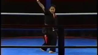 Ashley Lane Kata at 1997 Battle of Atlanta Karate Tournament April Show