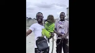 Meet My MoNkey Friend
