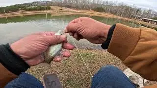 Crappie fishing ice on the water