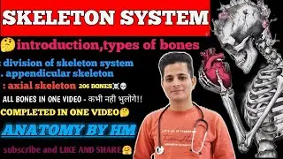 Skeleton System |कंकाल तंत्र |Bones |Anatomy and physiology| Anatomy in Hindi |AnatomyNotes