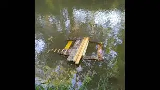 Turtle Dock Launching!!!