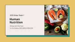 IGCSE Biology - Chapter 7 | Human Nutrition