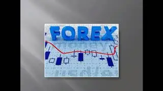 INTRODUCTION TO FMF FOREX COMPANY