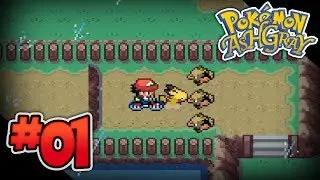 Pok&eacute;mon Ash Gray - Episode 1: I Choose You!