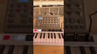 Having fun with the Elektron Model Cycles #elektron #dawless #modelcycles #fmsynth #moogaudio