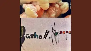 Basho // KIKIPOPO