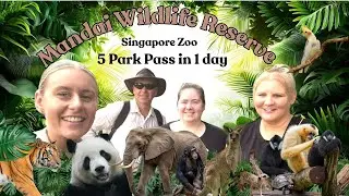 Singapore Zoo 5 Parks in 1 Day Pass | Is It Worth It? 🦁🐼🐯