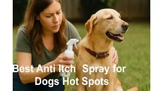 🐶 Спрей для анальных желез HICC PET, 4 унции | Лучший спрей от зуда для горячих точек у собак 🐾