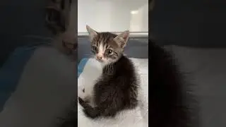 Left Behind By His Mother And Siblings Because Of His Birth Defect [STORY BELOW]