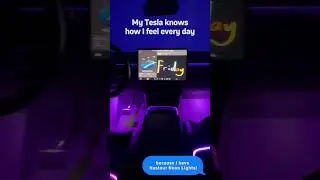 My Tesla knows how I feel every day 😮&zwj;💨#nestour #neonlights #ambientlight #carinteriorlight