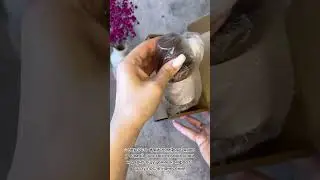 Крем-лосьон для тела парфюмированный Kirki от бренда Spa KitchLand🙌❤ Арт.WB 214599554
