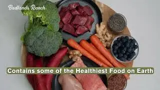 By Katherine Heigl - Superfood Complete Beef Formula Adult Dog Food, Air-Dried, High Protein