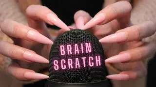 Asmr Mic Scratching - Brain Scratching with Long Nails | Asmr No Talking for Sleep and Relaxation