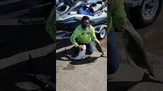 When Hard Pays Off 💪 #fishing