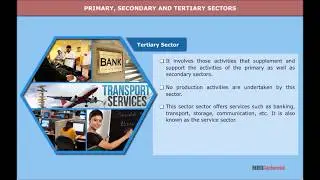 Sectors of the Indian Economy | Economics | Class 10