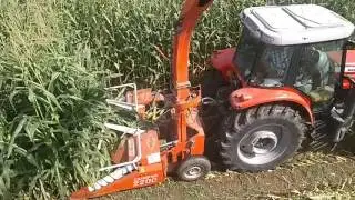 KEMPER CHAMPİON 2200&MASSEY FERGUSON 6460 SİSU POWER
