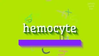 HOW TO SAY HEMOCYTE? #hemocyte