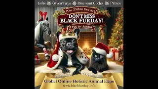 Black Furday 2023 sponsors Live Kick-Off call with Conor Brady and Poppy Phillips
