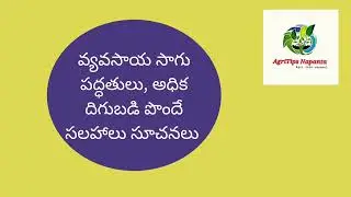 Agritips Napanta Channel teasure | అగ్రిటిప్స్ నాపంట ఛానల్ టీజర్ | @AgritipsNapanta #agriculture